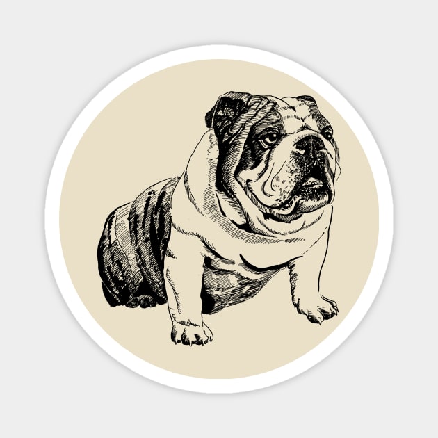 english bulldog Magnet by VicaVeresk